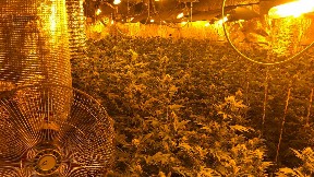 Suđenje bez iznošenja odbrane